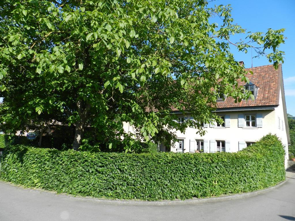 Blue Wall Bnb Gebenstorf Buitenkant foto